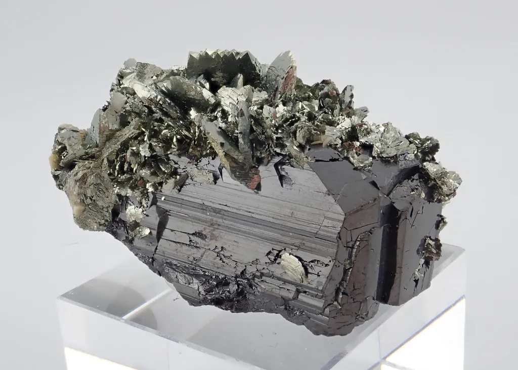 Ferberite with Marcasite image