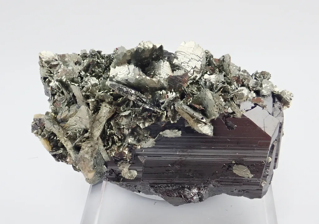 Ferberite with Marcasite - image 3