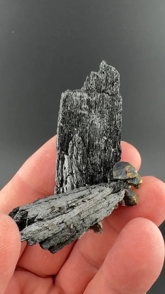 Ferberite with Pyrite image