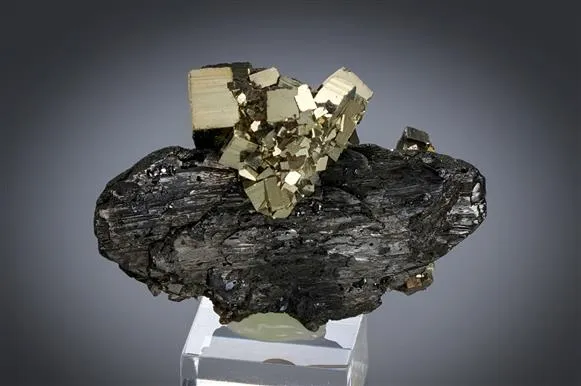 Ferberite with Pyrite image