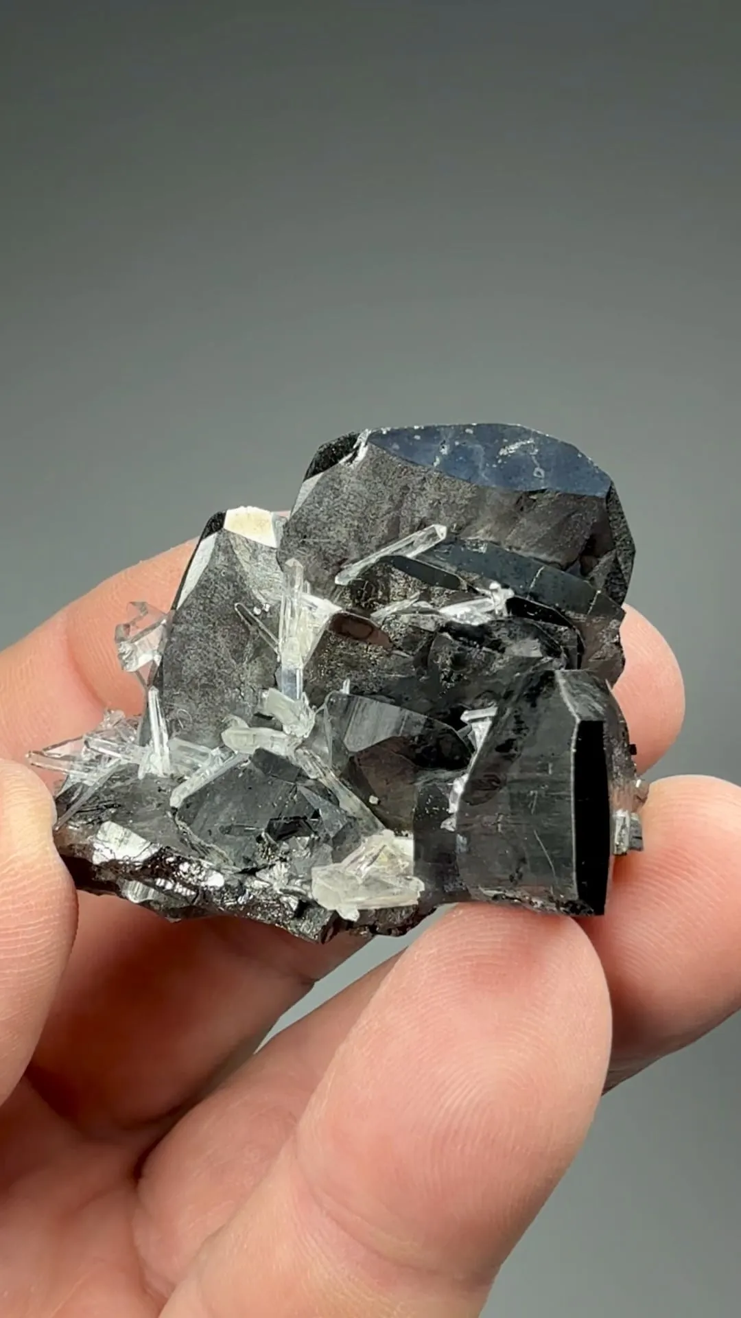 Ferberite with Quartz - image 2