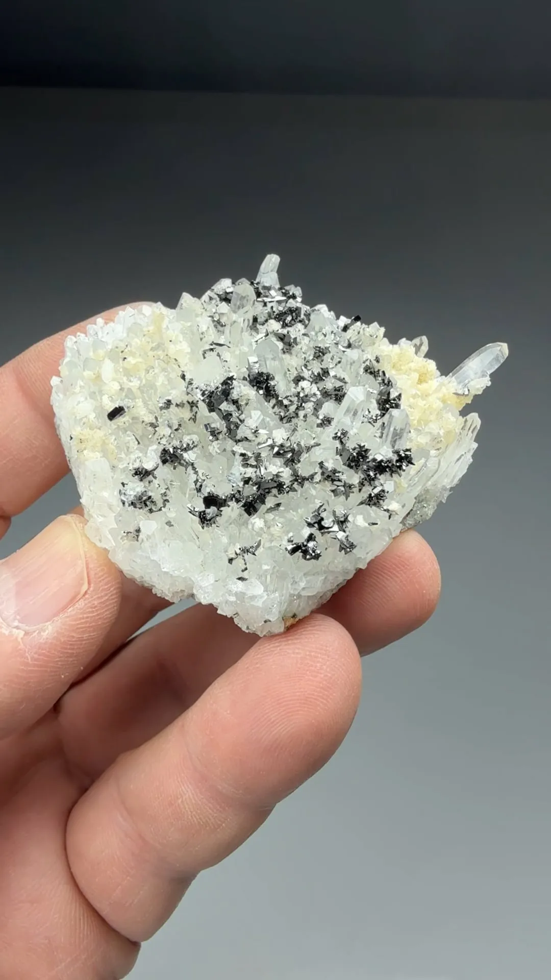 Ferberite with Quartz - image 2