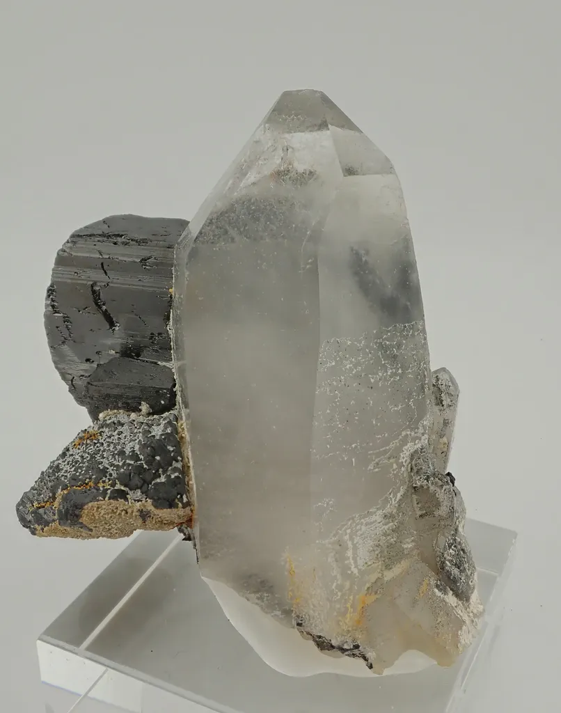 Ferberite with Quartz image