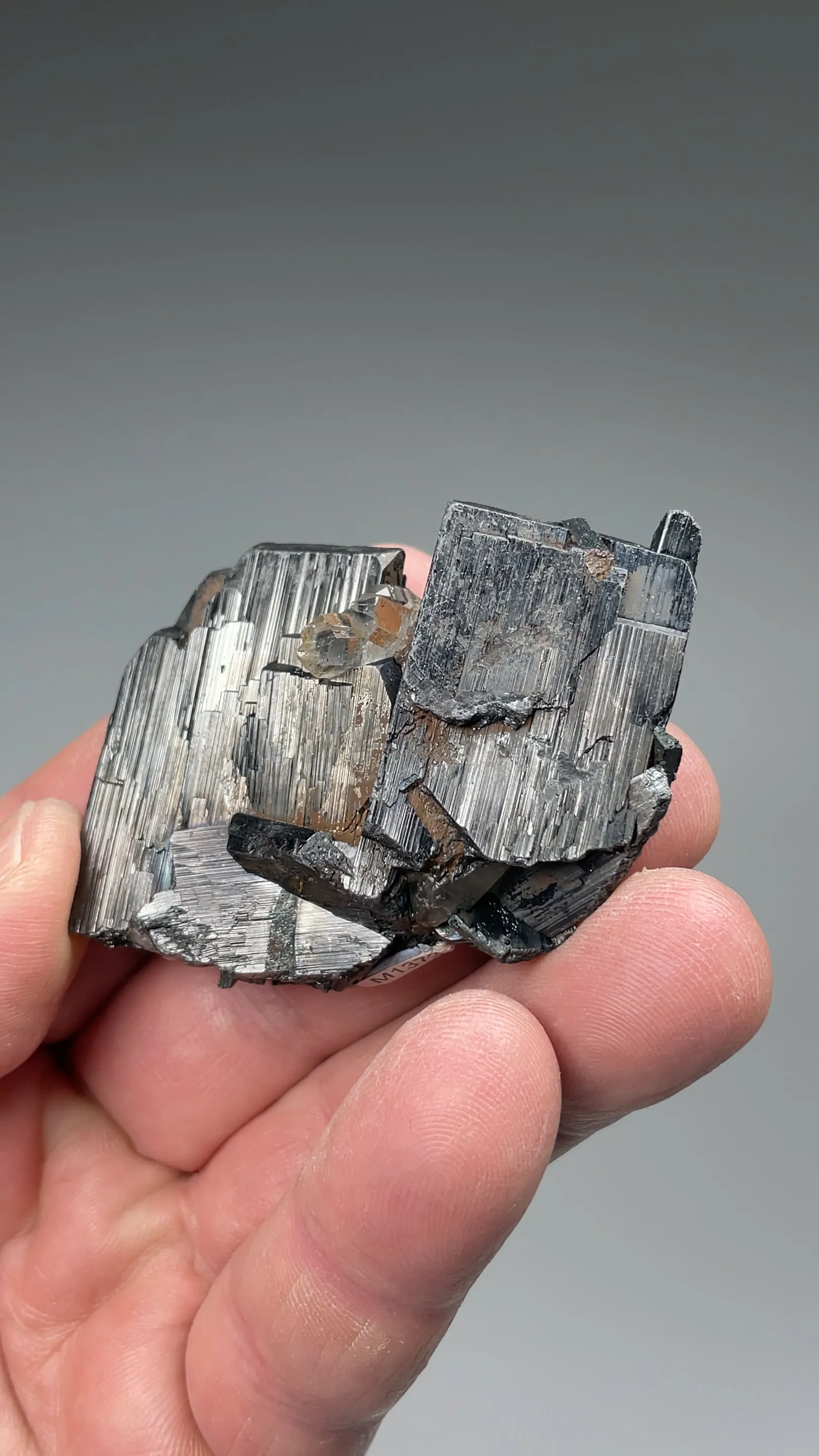 Ferberite with Quartz - image 2