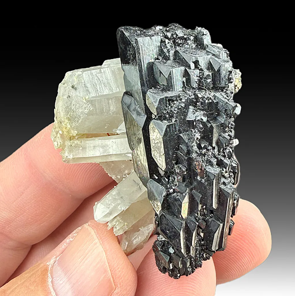 Ferberite with Quartz image