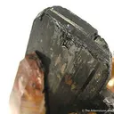 Ferberite With Quartz - image 4