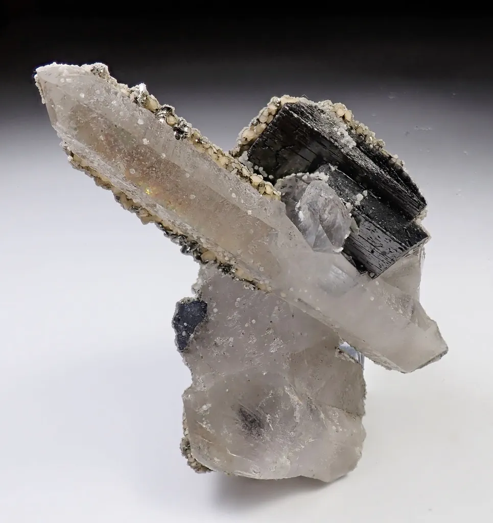 Ferberite with Quartz image