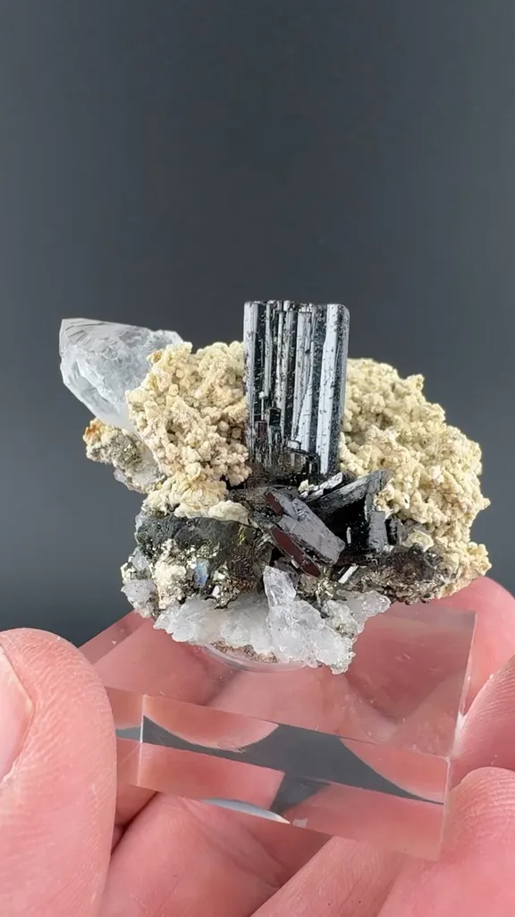 Ferberite with Quartz image