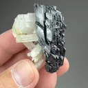 Ferberite with Quartz - image 2