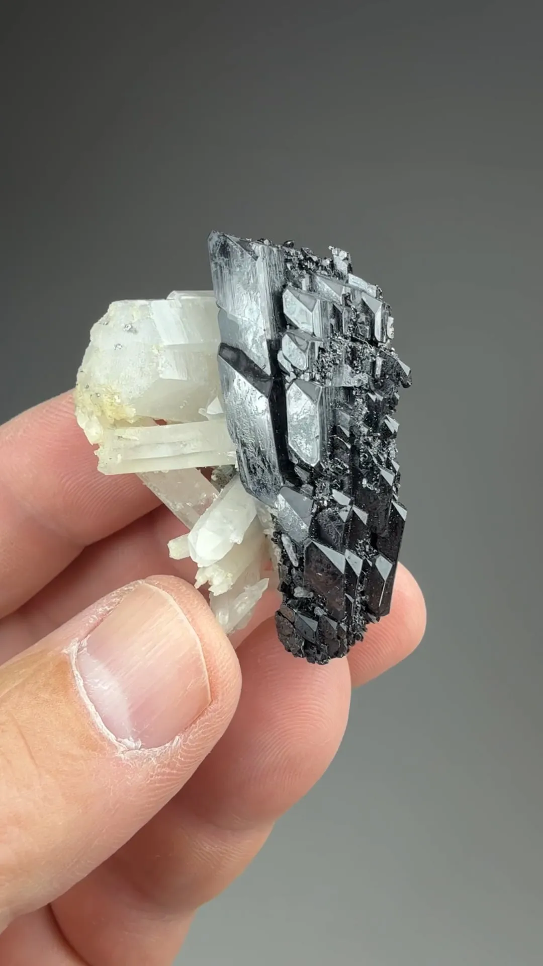 Ferberite with Quartz - image 2
