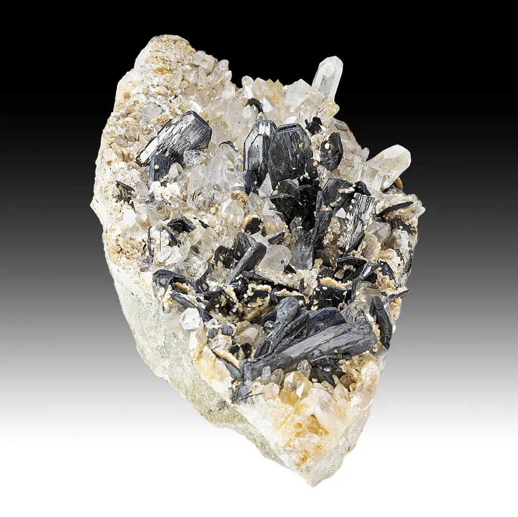 Ferberite with Quartz, Muscovite image