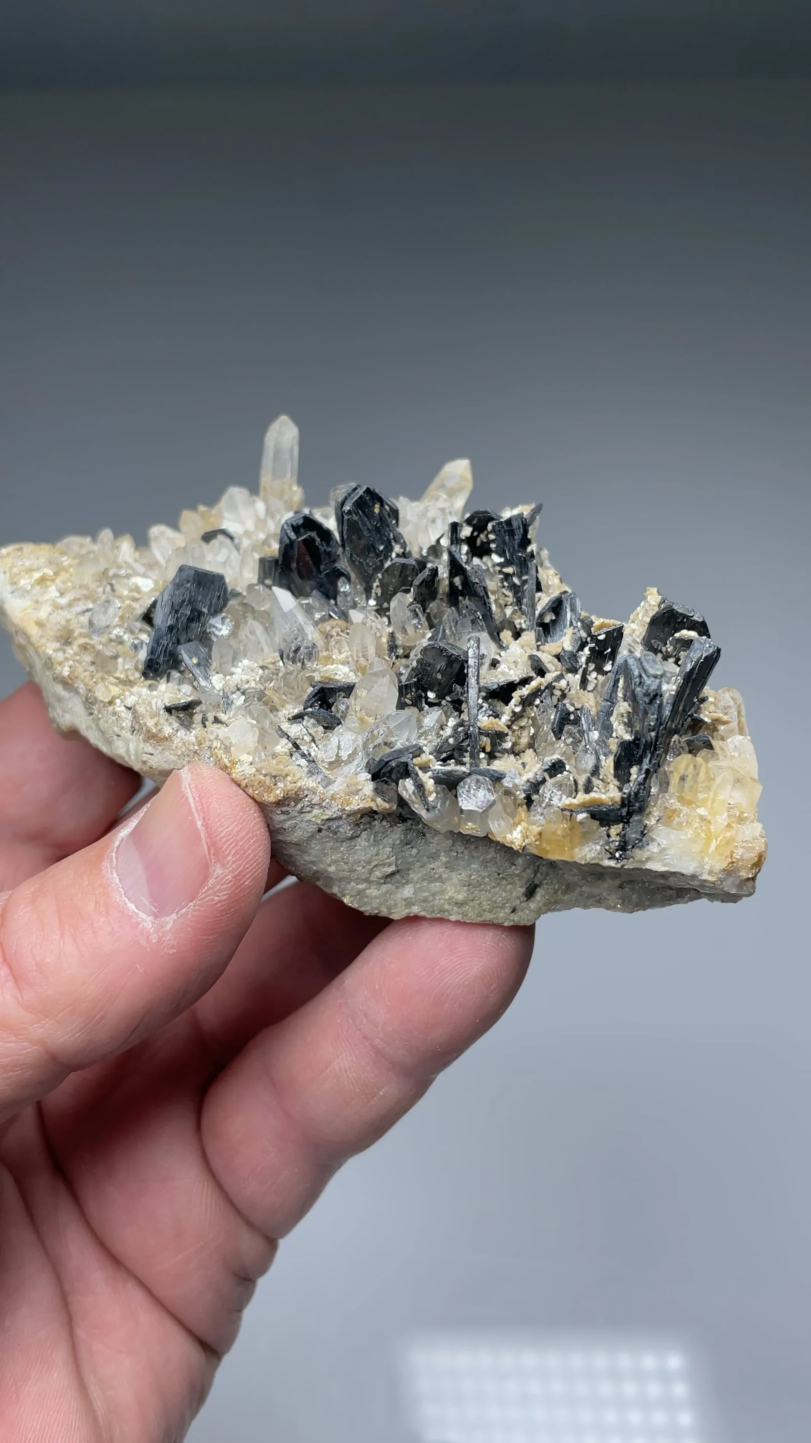 Ferberite with Quartz, Muscovite - image 2