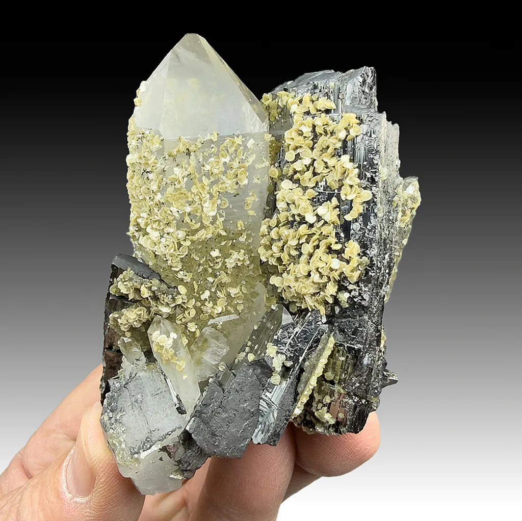 Ferberite with Quartz, Siderite, Muscovite image