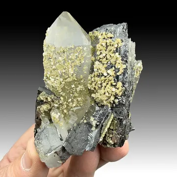 Ferberite with Quartz, Siderite, Muscovite