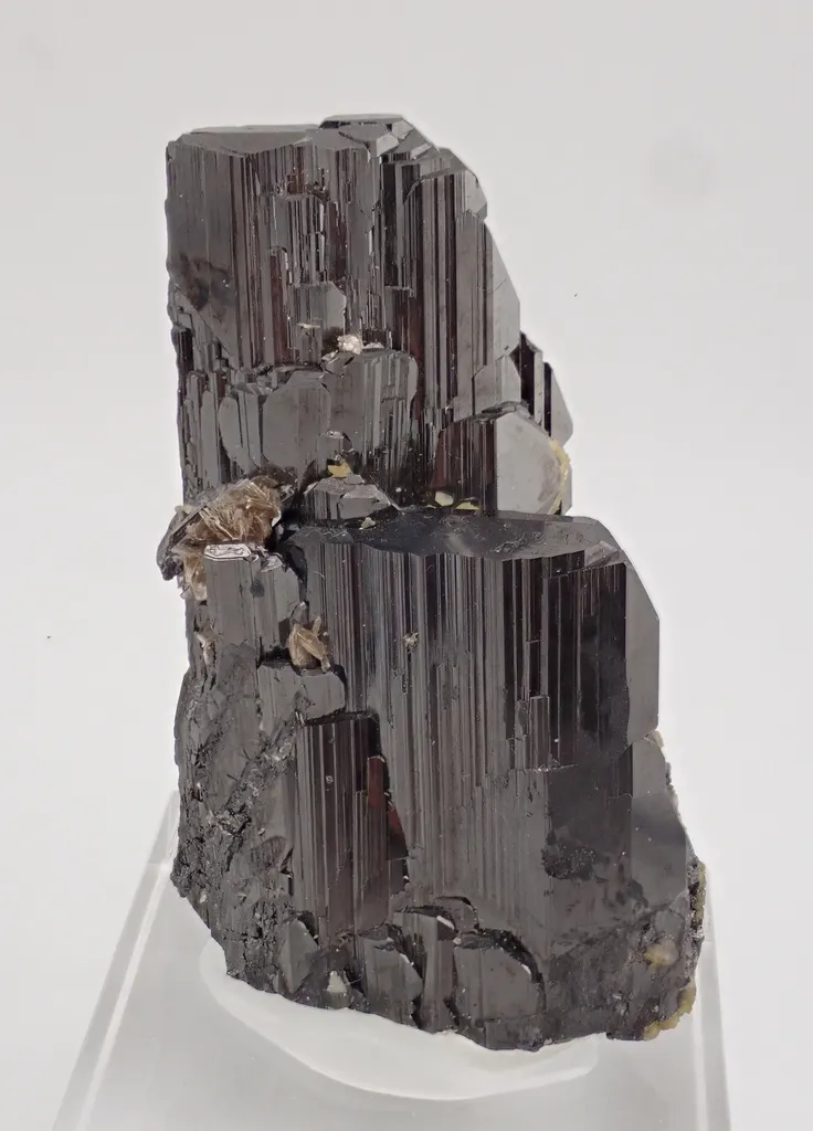 Ferberite with Siderite image