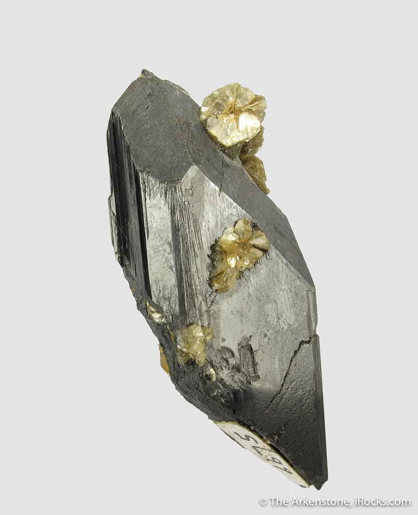 Ferberite with Siderite - image 2