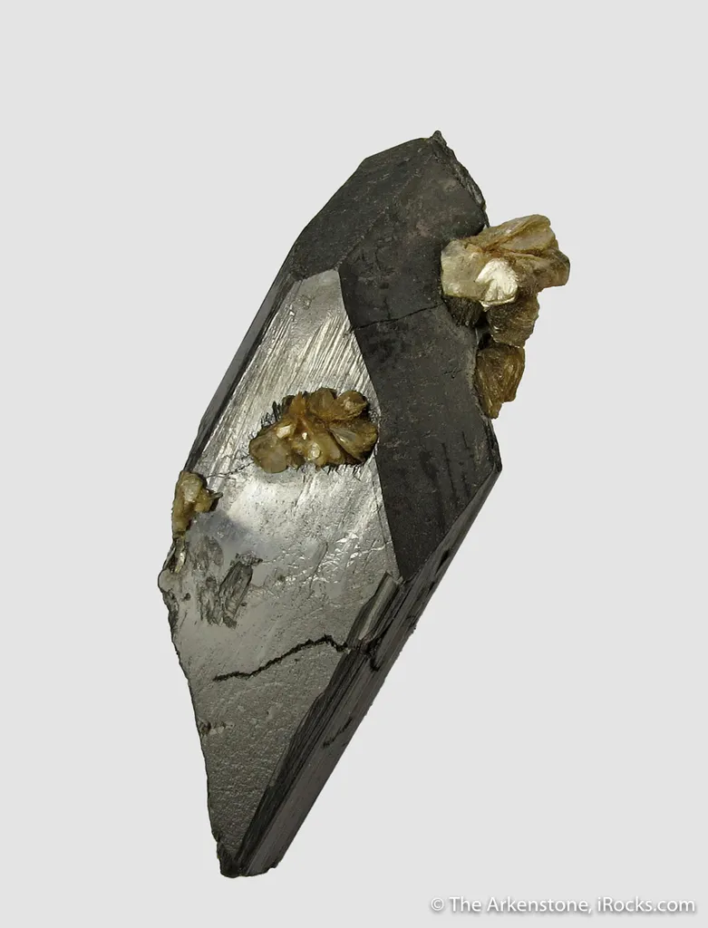 Ferberite with Siderite image
