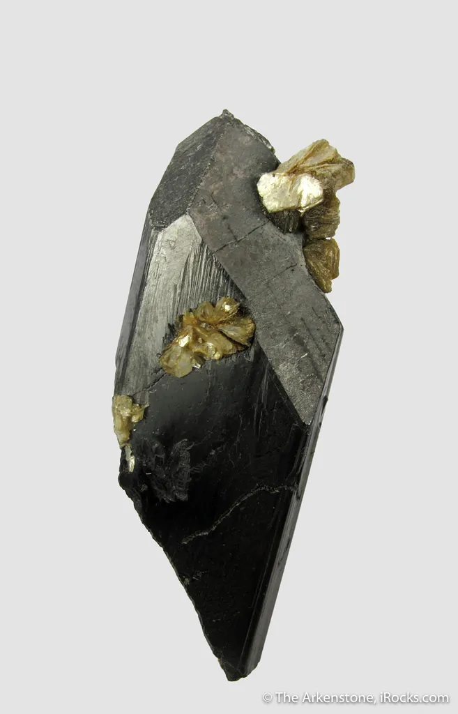 Ferberite with Siderite - image 6