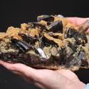 Ferberite with Siderite on Chalcopyrite and Quartz - image 2