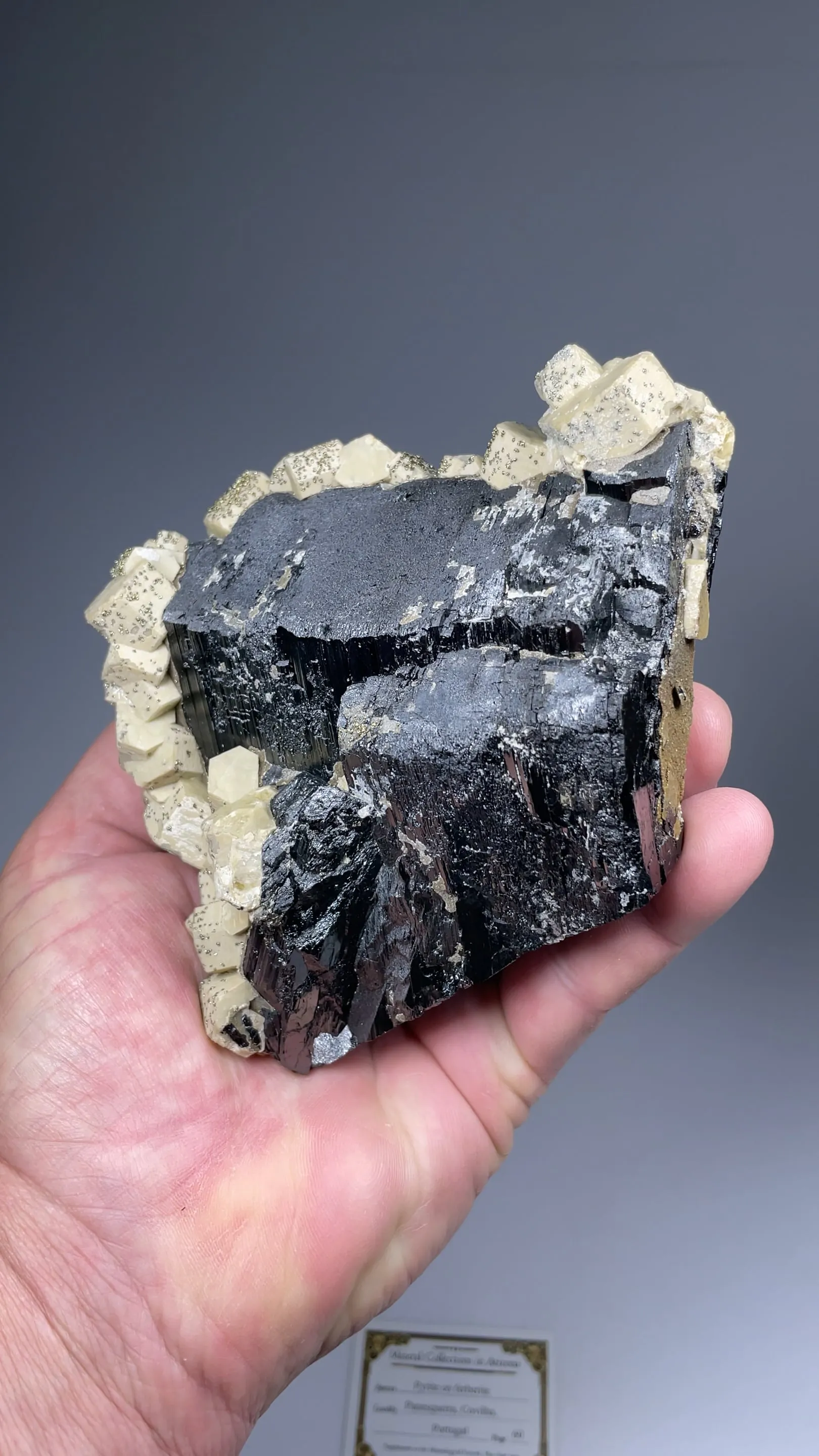 Ferberite with Siderite, Pyrite - image 2