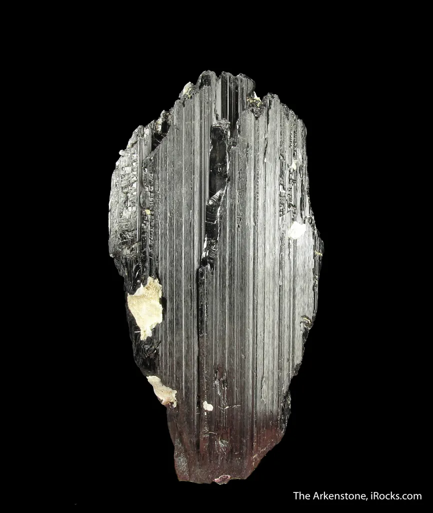 Ferro-Pargasite image