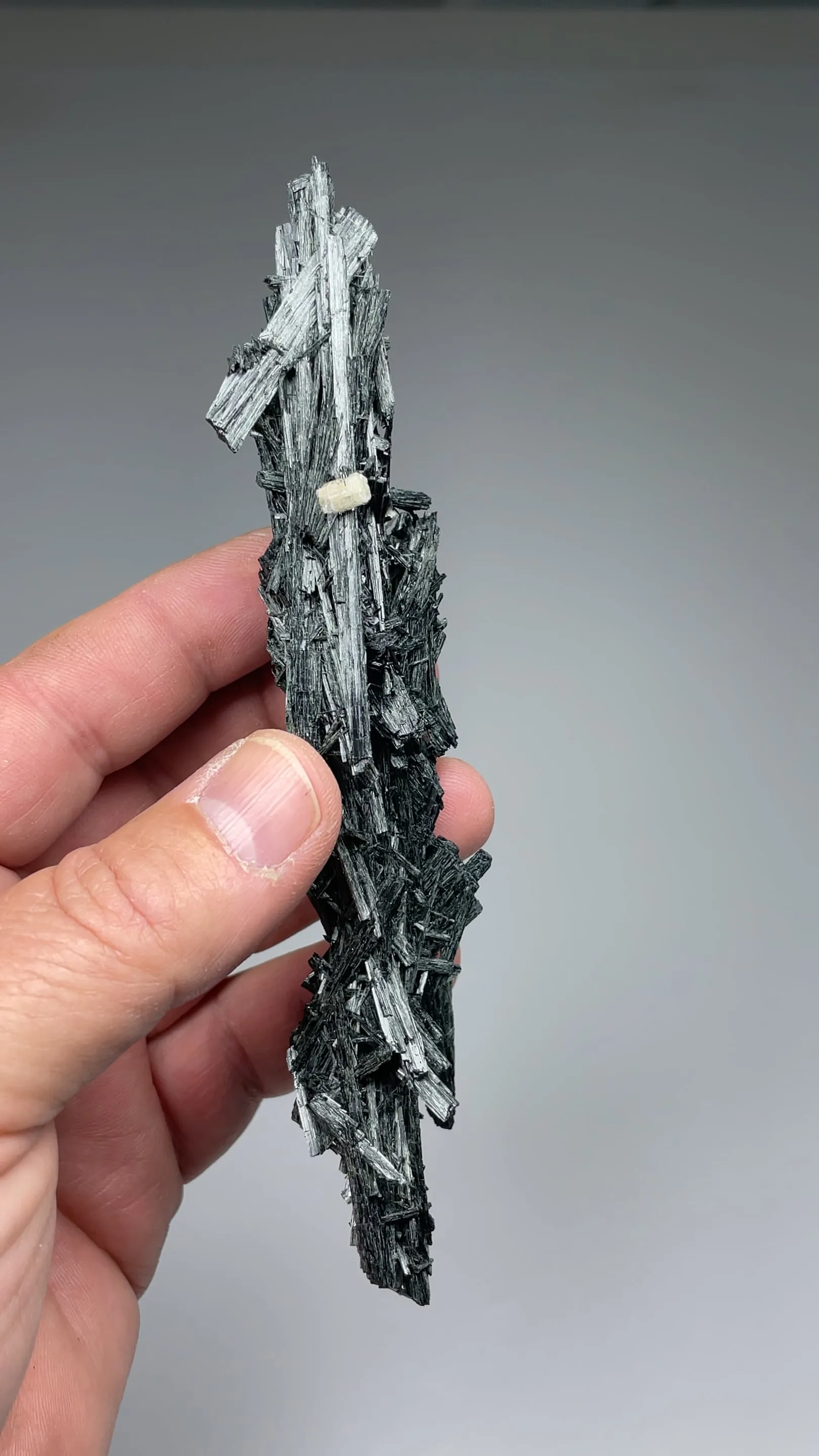 Ferroactinolite with Chlorapatite - image 2