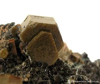 Ferroan Pyrosmalite - image 2