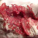 Ferroan Variscite - image 2