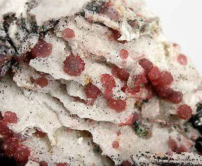 Ferroan Variscite - image 2