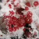 Ferroan Variscite - image 2