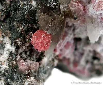 Ferroan Variscite - image 2