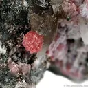 Ferroan Variscite - image 2