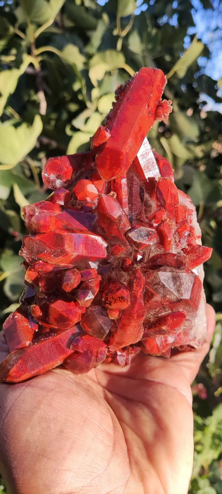 Ferruginous quartz from Morocco - image 3