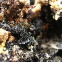 Fettelite With Proustite - image 3