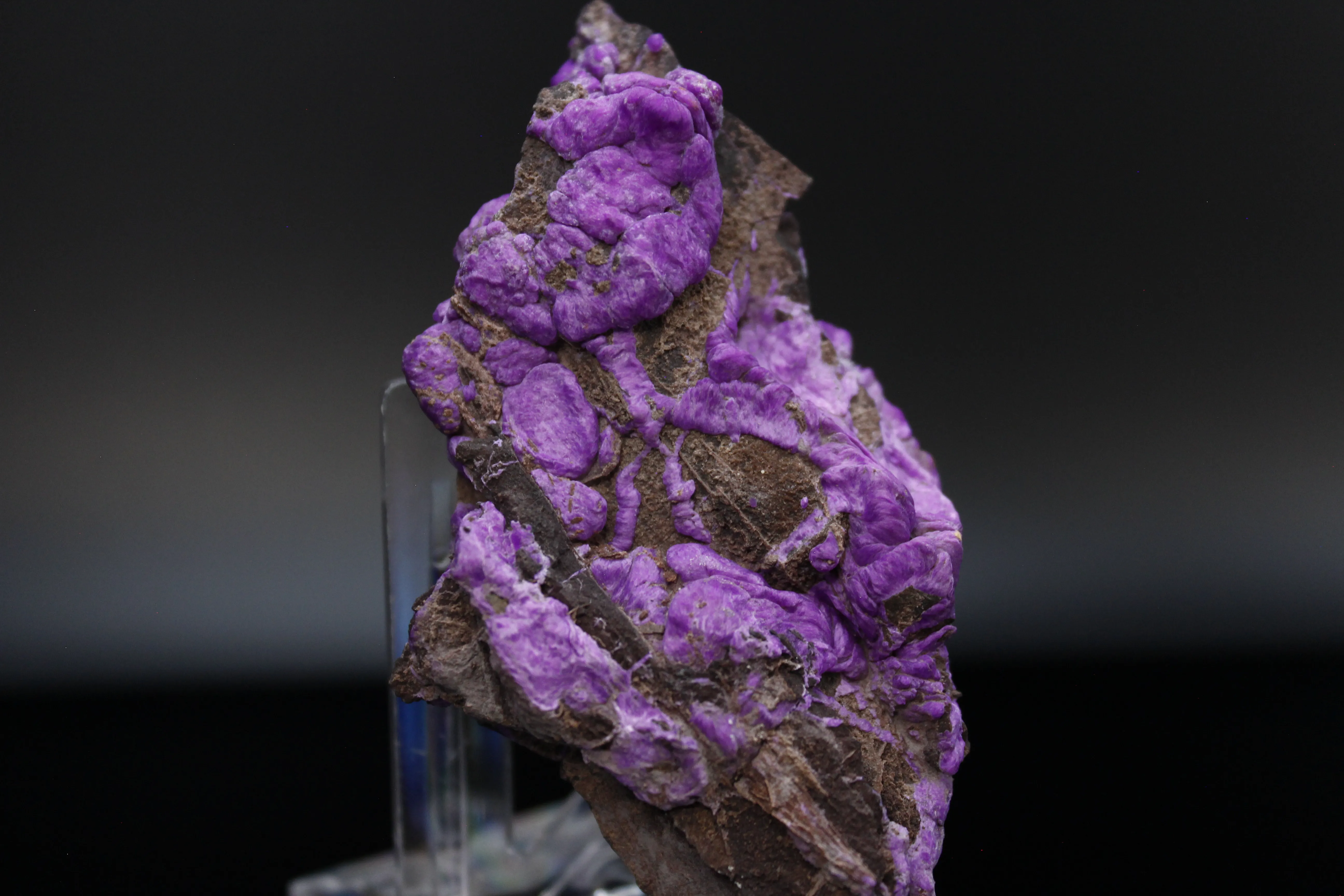 Fiberous Sugelite - image 1