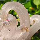 Fibrous Gypsum var. Selenite from Morocco. Beautifull ram’s-horn shape. Its organic fluid elegance is mesmerizing to anyone who sees it - image 9