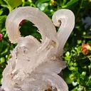 Fibrous Gypsum var. Selenite from Morocco. Beautifull ram’s-horn shape. Its organic fluid elegance is mesmerizing to anyone who sees it - image 8