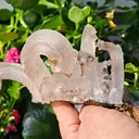 Fibrous Gypsum var. Selenite from Morocco. Beautifull ram’s-horn shape. Its organic fluid elegance is mesmerizing to anyone who sees it - image 6