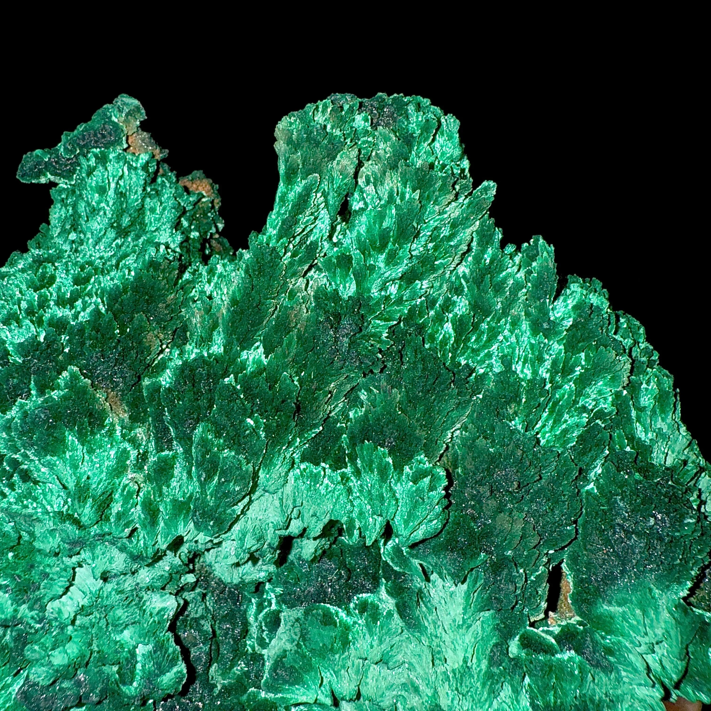 Fibrous Malachite | SELF STANDING | High Quality Mineral | Superb Minerals | Fine Minerals - image 2