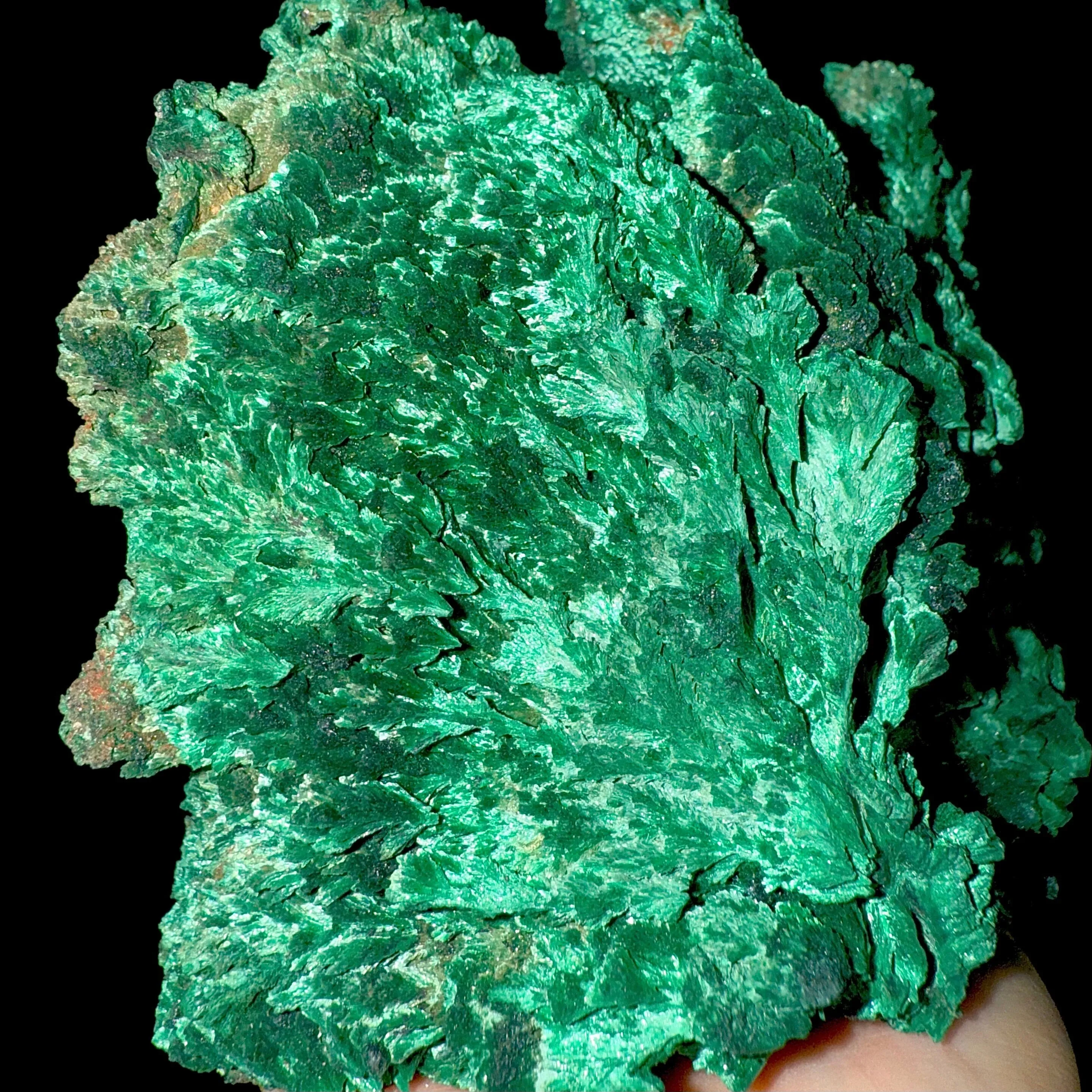 Fibrous Malachite | SELF STANDING | High Quality Mineral | Superb Minerals | Fine Minerals - image 4