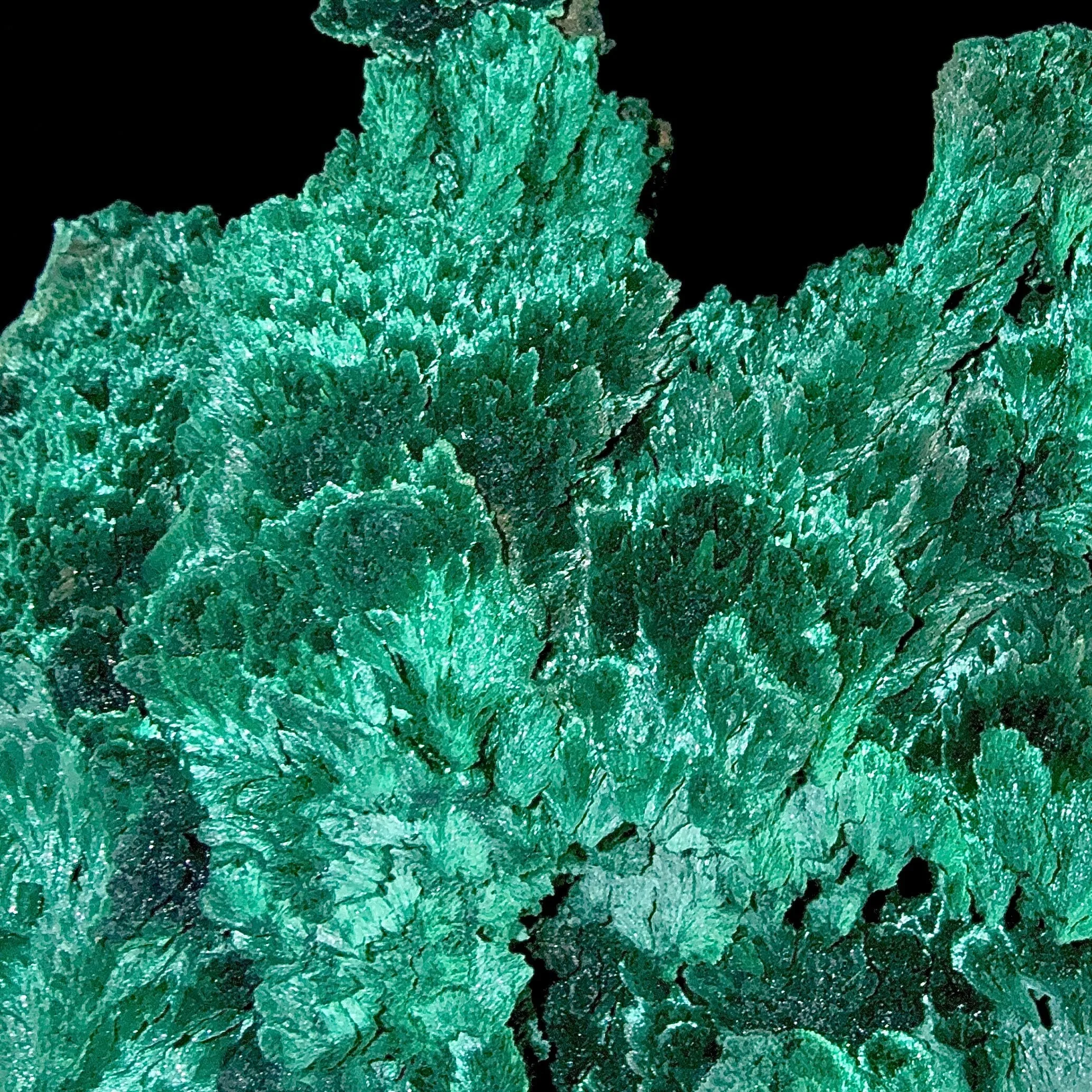 Fibrous Malachite | SELF STANDING | High Quality Mineral | Superb Minerals | Fine Minerals - image 5