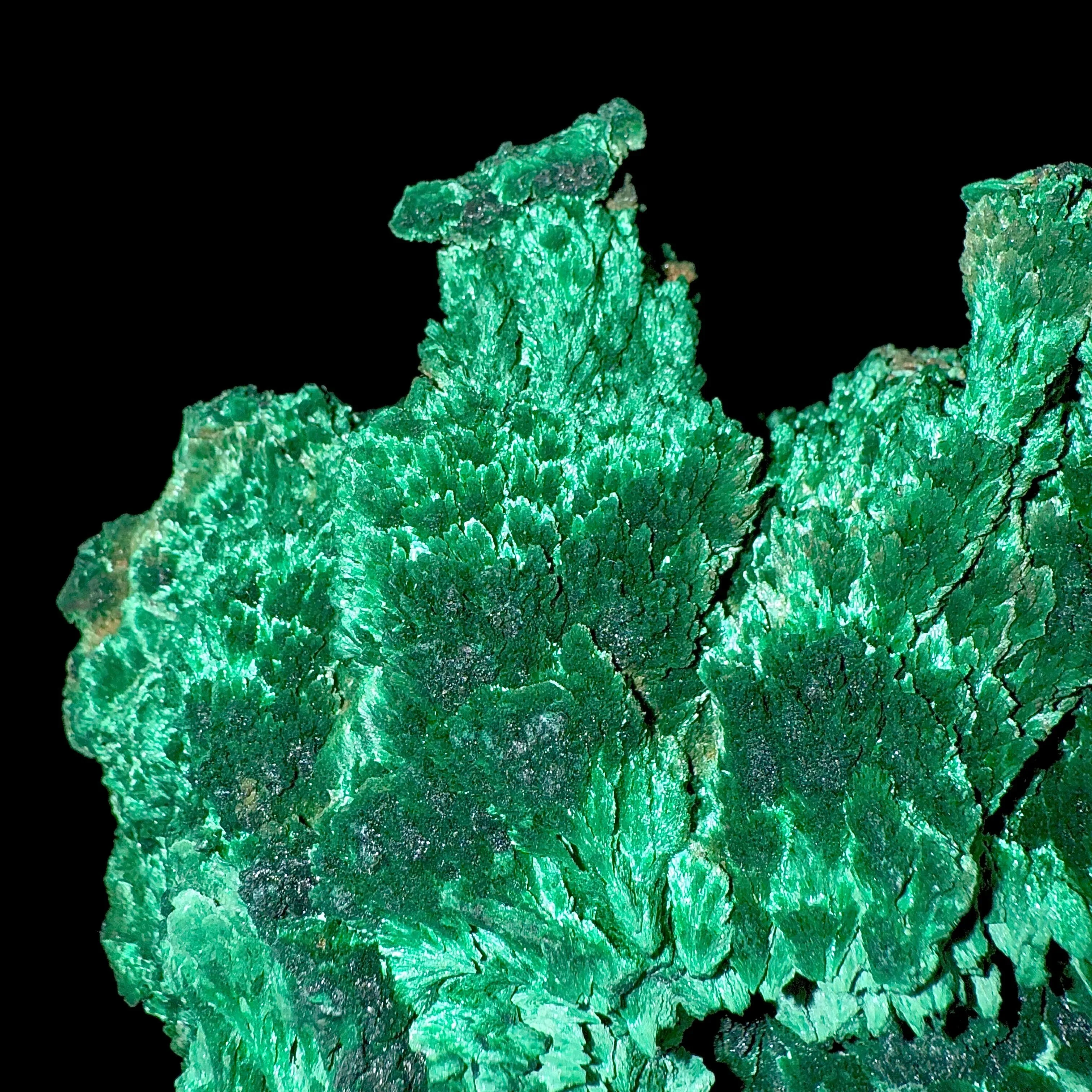 Fibrous Malachite | SELF STANDING | High Quality Mineral | Superb Minerals | Fine Minerals - image 3