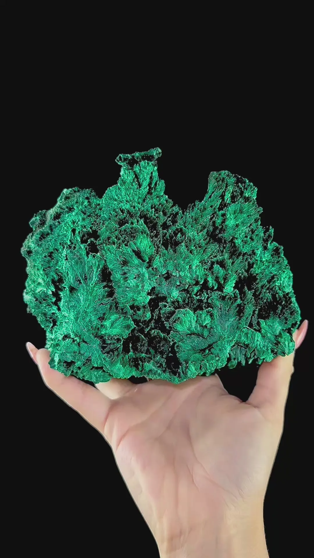 Fibrous Malachite | SELF STANDING | High Quality Mineral | Superb Minerals | Fine Minerals - image 6