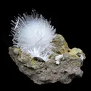 Fine Scolecite Spray Flower on Basalt Matrix - Collector’s Zeolite Specimen from Nashik, India - image 1