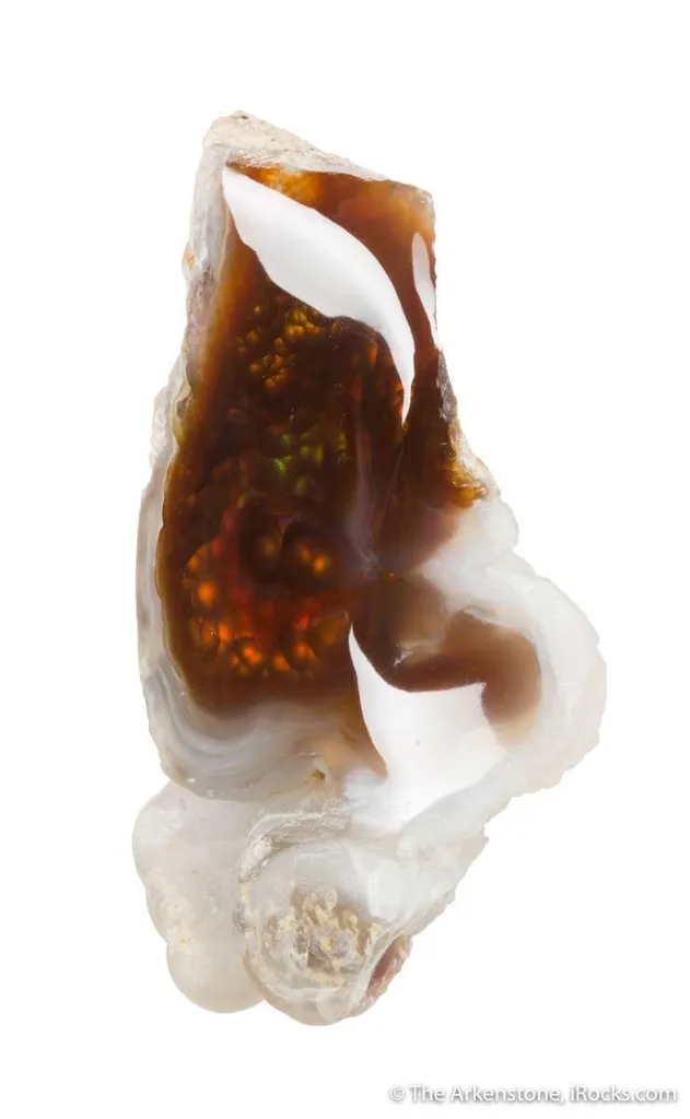 Fire Agate (rough & cut set) - image 5