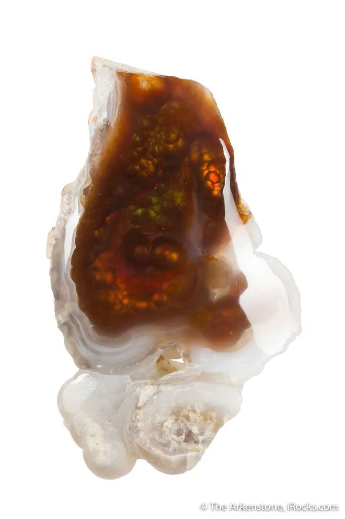 Fire Agate (rough & cut set) - image 4