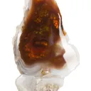 Fire Agate (rough & cut set) - image 4