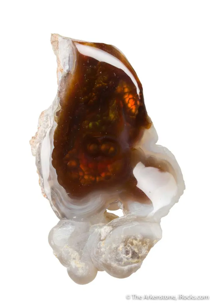 Fire Agate (rough & cut set) - image 3