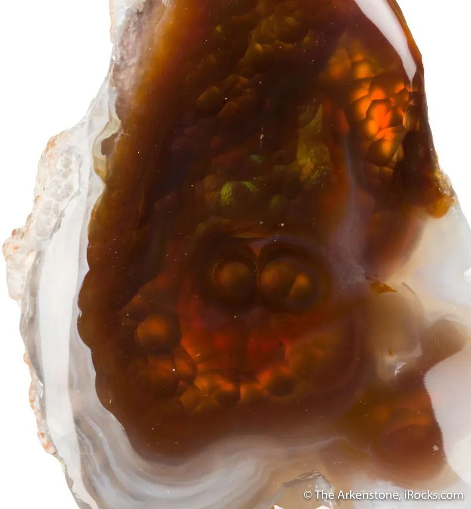 Fire Agate (rough & cut set) - image 7