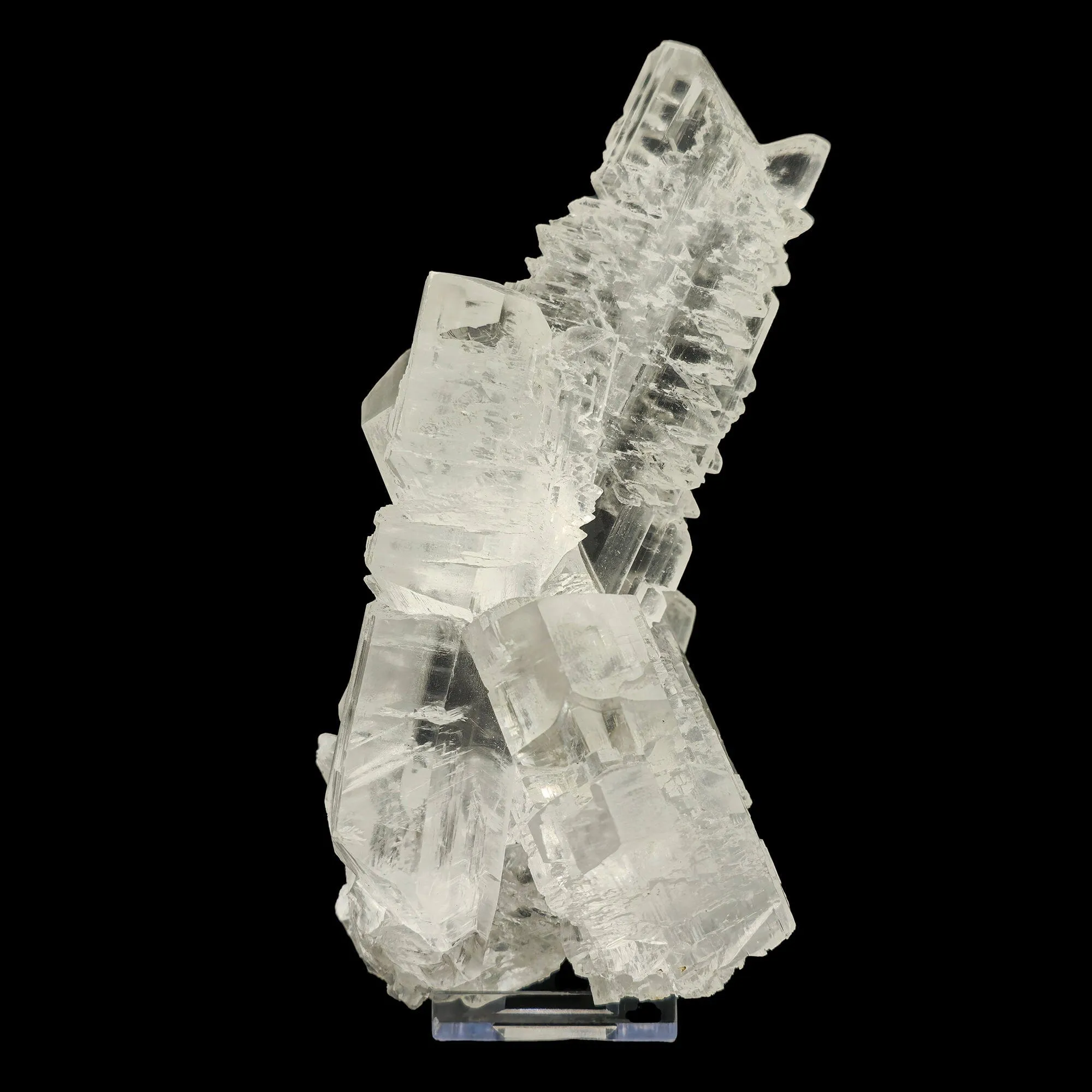 Fish Tail Selenite (Gypsum) Natural Mineral Specimen. - image 1